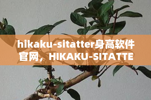 hikaku-sitatter身高软件官网,HIKAKU-SITATTER身高软件,精准测量,科学管理身高的新选择 hikaku-sitatter身高软件官网,HIKAKU-SITATTER身高软件,精准测量,科学管理身高的新选择