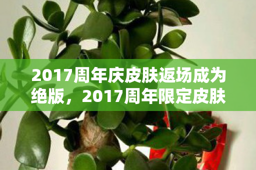 2017周年庆皮肤返场成为绝版，2017周年限定皮肤，珍贵回忆与独特魅力的展现