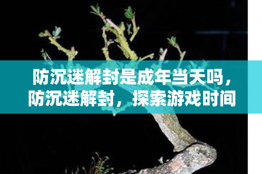 防沉迷解封是成年当天吗,防沉迷解封,探索游戏时间管理的平衡点 防沉迷解封是成年当天吗,防沉迷解封,探索游戏时间管理的平衡点