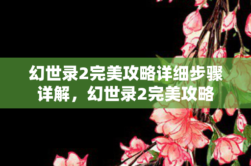 幻世录2完美攻略详细步骤详解，幻世录2完美攻略
