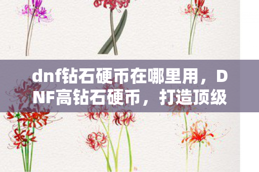 dnf钻石硬币在哪里用,DNF高钻石硬币,打造顶级装备,提升战斗力的必备神器 dnf钻石硬币在哪里用,DNF高钻石硬币,打造顶级装备,提升战斗力的必备神器