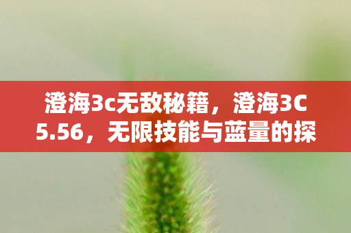 澄海3c无敌秘籍，澄海3C5.56，无限技能与蓝量的探索