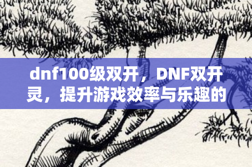 dnf100级双开,DNF双开灵,提升游戏效率与乐趣的实用工具 dnf100级双开,DNF双开灵,提升游戏效率与乐趣的实用工具