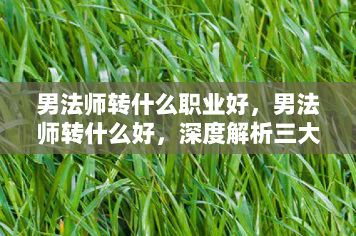 男法师转什么职业好,男法师转什么好,深度解析三大热门职业 男法师转什么职业好,男法师转什么好,深度解析三大热门职业