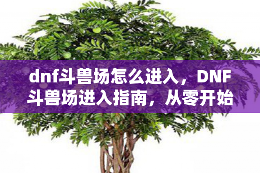 dnf斗兽场怎么进入,DNF斗兽场进入指南,从零开始的战斗之旅 dnf斗兽场怎么进入,DNF斗兽场进入指南,从零开始的战斗之旅