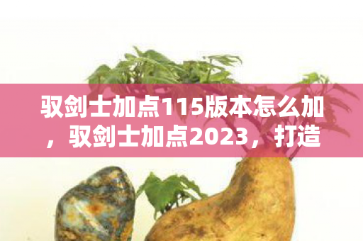 驭剑士加点115版本怎么加,驭剑士加点2023,打造最强剑术大师 驭剑士加点115版本怎么加,驭剑士加点2023,打造最强剑术大师