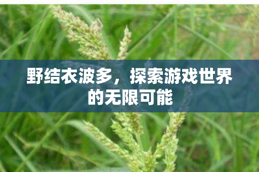 野结衣波多,探索游戏世界的无限可能 野结衣波多,探索游戏世界的无限可能