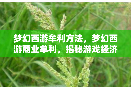 梦幻西游牟利方法,梦幻西游商业牟利,揭秘游戏经济体系下的财富密码 梦幻西游牟利方法,梦幻西游商业牟利,揭秘游戏经济体系下的财富密码