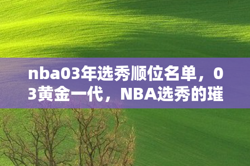 nba03年选秀顺位名单，03黄金一代，NBA选秀的璀璨时刻