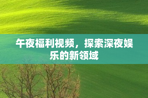 午夜福利视频,探索深夜娱乐的新领域 午夜福利视频,探索深夜娱乐的新领域