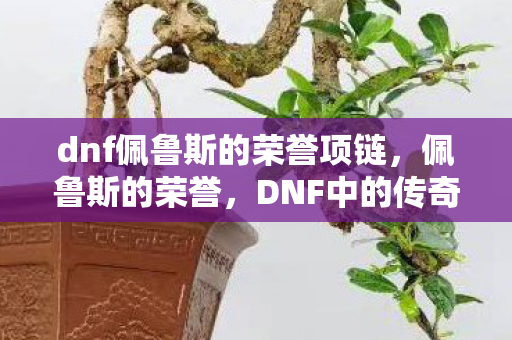 dnf佩鲁斯的荣誉项链，佩鲁斯的荣誉，DNF中的传奇装备