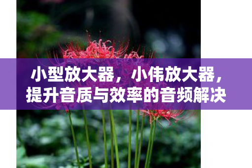 小型放大器，小伟放大器，提升音质与效率的音频解决方案