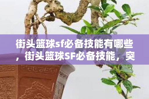 街头篮球sf必备技能有哪些，街头篮球SF必备技能，突破、投射与战术理解