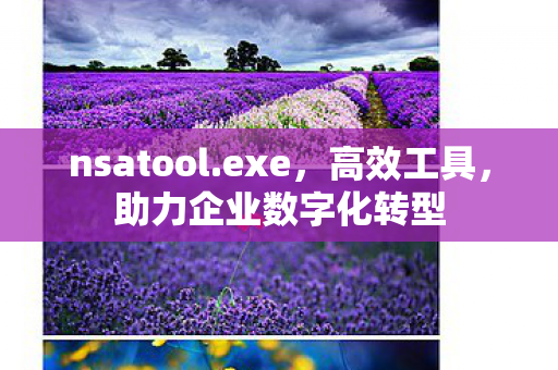 nsatool.exe,高效工具,助力企业数字化转型 nsatool.exe,高效工具,助力企业数字化转型