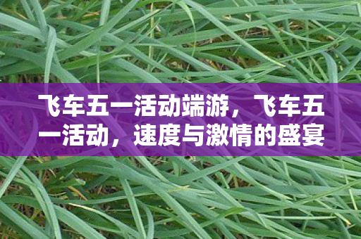 飞车五一活动端游，飞车五一活动，速度与激情的盛宴