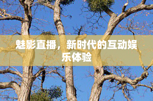 魅影直播,新时代的互动娱乐体验 魅影直播,新时代的互动娱乐体验