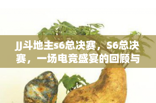 JJ斗地主s6总决赛,S6总决赛,一场电竞盛宴的回顾与解析 JJ斗地主s6总决赛,S6总决赛,一场电竞盛宴的回顾与解析