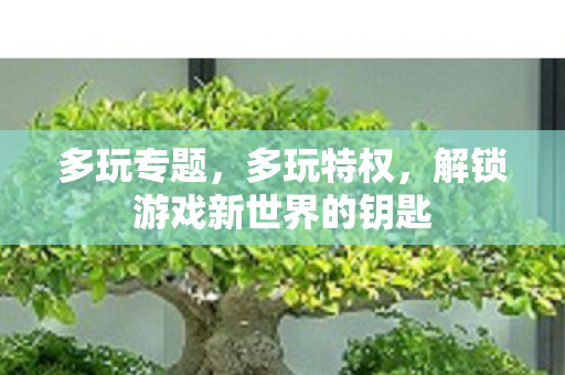 多玩专题，多玩特权，解锁游戏新世界的钥匙