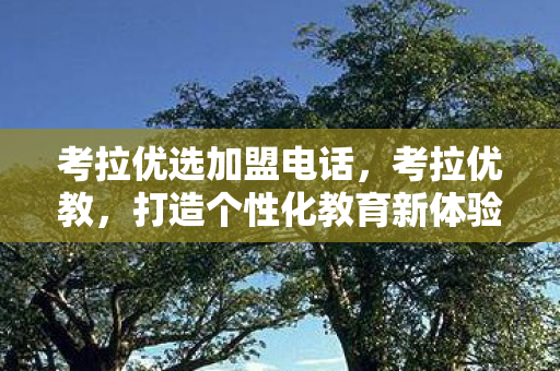 考拉优选加盟电话,考拉优教,打造个性化教育新体验 考拉优选加盟电话,考拉优教,打造个性化教育新体验