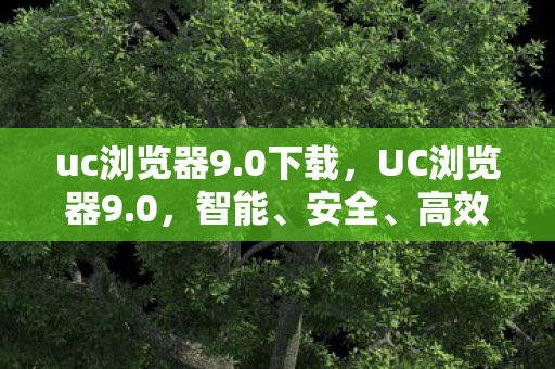 uc浏览器9.0下载,UC浏览器9.0,智能、安全、高效的全新体验 uc浏览器9.0下载,UC浏览器9.0,智能、安全、高效的全新体验