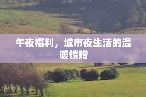 午夜福利,城市夜生活的温暖馈赠 午夜福利,城市夜生活的温暖馈赠