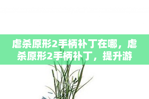 虐杀原形2手柄补丁在哪,虐杀原形2手柄补丁,提升游戏体验的必备神器 虐杀原形2手柄补丁在哪,虐杀原形2手柄补丁,提升游戏体验的必备神器