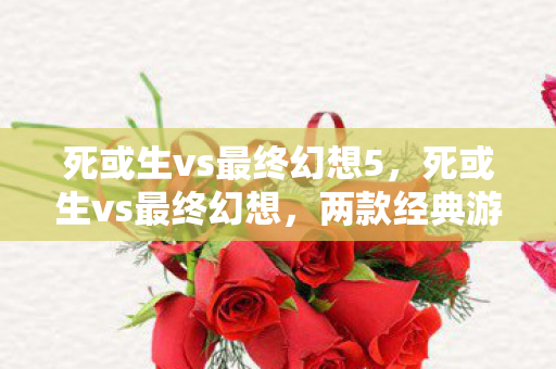 死或生vs最终幻想5,死或生vs最终幻想,两款经典游戏的魅力碰撞 死或生vs最终幻想5,死或生vs最终幻想,两款经典游戏的魅力碰撞