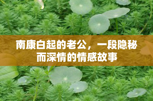 南康白起的老公,一段隐秘而深情的情感故事 南康白起的老公,一段隐秘而深情的情感故事