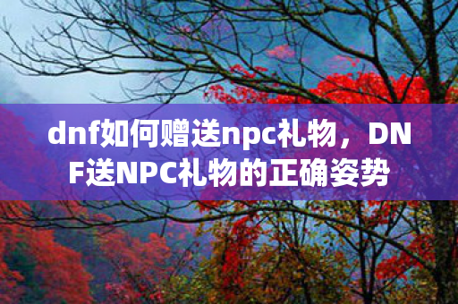 dnf如何赠送npc礼物,DNF送NPC礼物的正确姿势 dnf如何赠送npc礼物,DNF送NPC礼物的正确姿势
