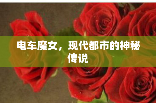 电车魔女,现代都市的神秘传说 电车魔女,现代都市的神秘传说
