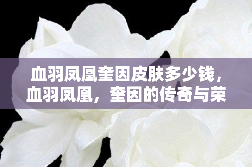 血羽凤凰奎因皮肤多少钱，血羽凤凰，奎因的传奇与荣耀