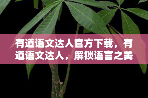 有道语文达人官方下载,有道语文达人,解锁语言之美,提升语文水平的神器 有道语文达人官方下载,有道语文达人,解锁语言之美,提升语文水平的神器