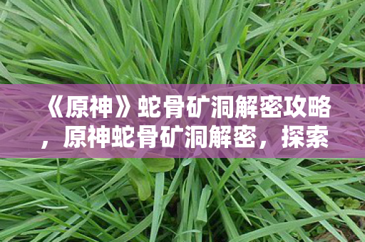 《原神》蛇骨矿洞解密攻略,原神蛇骨矿洞解密,探索古老遗迹的奥秘 《原神》蛇骨矿洞解密攻略,原神蛇骨矿洞解密,探索古老遗迹的奥秘