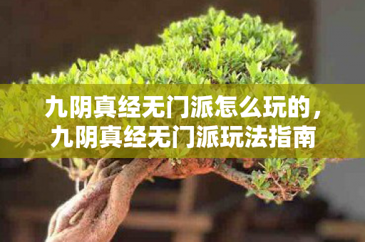 九阴真经无门派怎么玩的，九阴真经无门派玩法指南