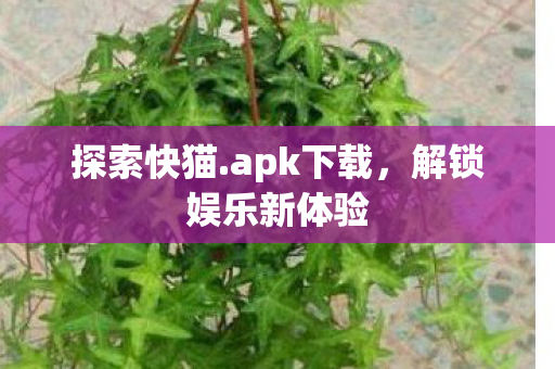 探索快猫.apk下载,解锁娱乐新体验 探索快猫.apk下载,解锁娱乐新体验