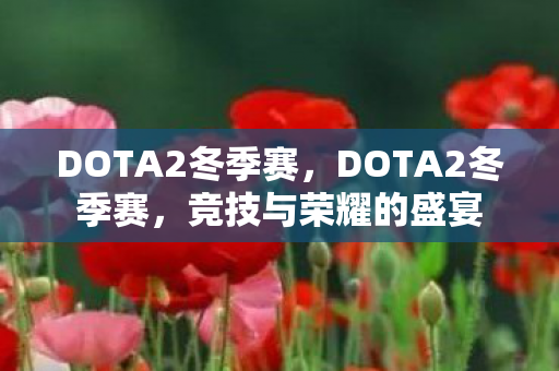 DOTA2冬季赛,DOTA2冬季赛,竞技与荣耀的盛宴 DOTA2冬季赛,DOTA2冬季赛,竞技与荣耀的盛宴