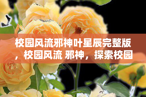 校园风流邪神叶星辰完整版,校园风流 邪神,探索校园中的神秘力量 校园风流邪神叶星辰完整版,校园风流 邪神,探索校园中的神秘力量
