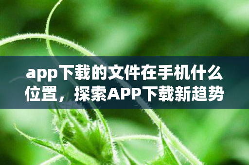 app下载的文件在手机什么位置,探索APP下载新趋势,从用户视角看应用市场的变革 app下载的文件在手机什么位置,探索APP下载新趋势,从用户视角看应用市场的变革