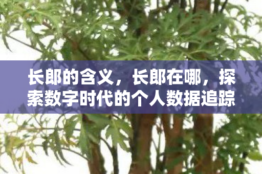 长郎的含义,长郎在哪,探索数字时代的个人数据追踪与隐私保护 长郎的含义,长郎在哪,探索数字时代的个人数据追踪与隐私保护