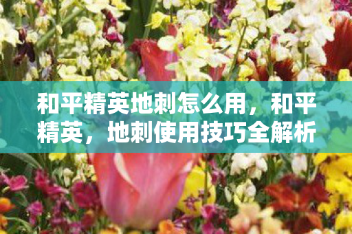 和平精英地刺怎么用,和平精英,地刺使用技巧全解析 和平精英地刺怎么用,和平精英,地刺使用技巧全解析