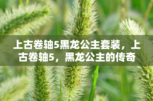 上古卷轴5黑龙公主套装,上古卷轴5,黑龙公主的传奇故事 上古卷轴5黑龙公主套装,上古卷轴5,黑龙公主的传奇故事