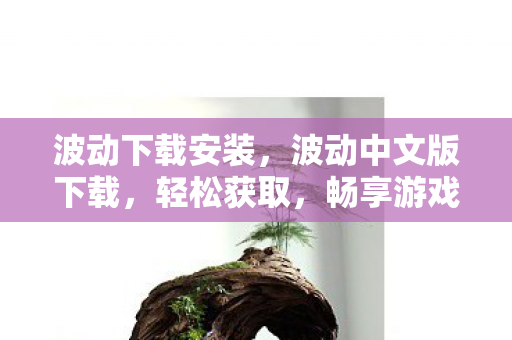 波动下载安装，波动中文版下载，轻松获取，畅享游戏乐趣