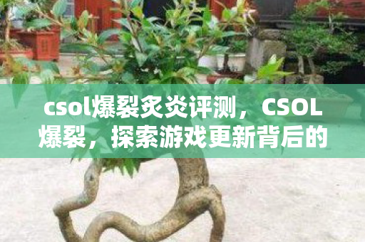 csol爆裂炙炎评测,CSOL爆裂,探索游戏更新背后的创新与挑战 csol爆裂炙炎评测,CSOL爆裂,探索游戏更新背后的创新与挑战