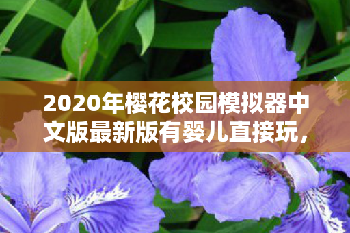 2020年樱花校园模拟器中文版最新版有婴儿直接玩,樱花校园模拟器中文版最新版,温馨家庭与成长的奇妙之旅 2020年樱花校园模拟器中文版最新版有婴儿直接玩,樱花校园模拟器中文版最新版,温馨家庭与成长的奇妙之旅