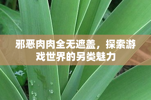 邪恶肉肉全无遮盖,探索游戏世界的另类魅力 邪恶肉肉全无遮盖,探索游戏世界的另类魅力