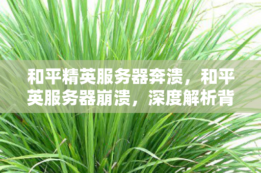 和平精英服务器奔溃,和平英服务器崩溃,深度解析背后的原因与应对策略 和平精英服务器奔溃,和平英服务器崩溃,深度解析背后的原因与应对策略