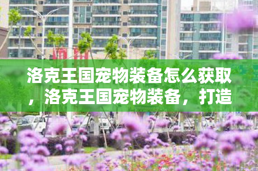 洛克王国宠物装备怎么获取,洛克王国宠物装备,打造强大宠物的必备利器 洛克王国宠物装备怎么获取,洛克王国宠物装备,打造强大宠物的必备利器