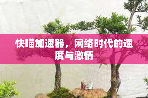 快喵加速器,网络时代的速度与激情 快喵加速器,网络时代的速度与激情