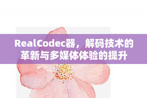 RealCodec器,解码技术的革新与多媒体体验的提升 RealCodec器,解码技术的革新与多媒体体验的提升