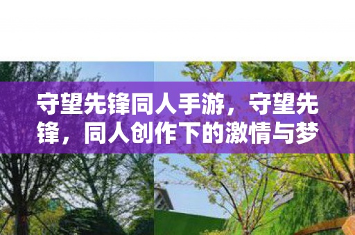 守望先锋同人手游,守望先锋,同人创作下的激情与梦想 守望先锋同人手游,守望先锋,同人创作下的激情与梦想